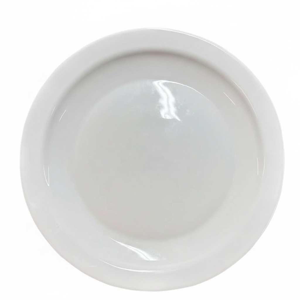 PLATO CERAMICA 25CM 陶瓷盘 LSQP100