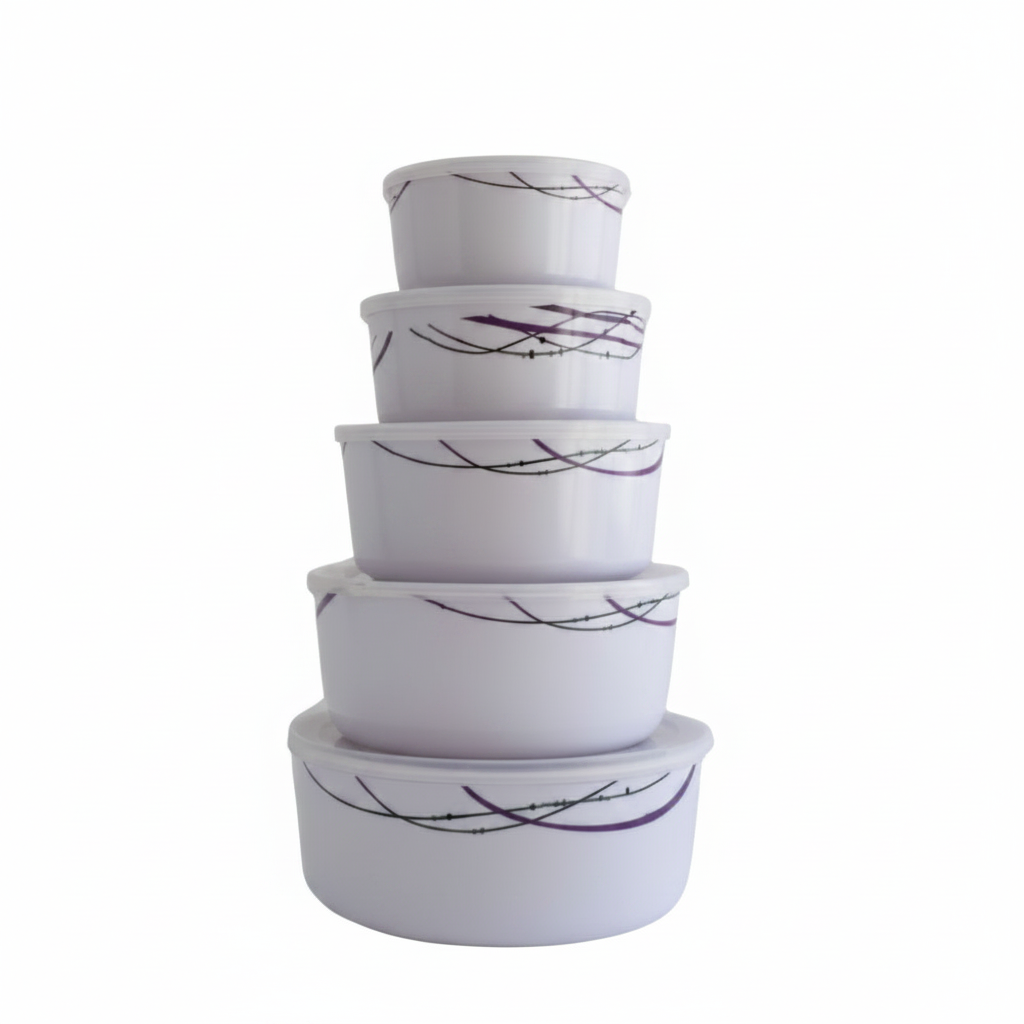SET DE TUPPER 5PC 带盖五件套碗条纹 61059 6105-1721
