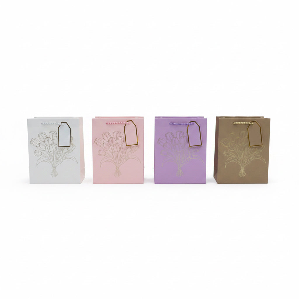 BOLSA REGALO 23*18*10CM X12U礼品袋 B0128