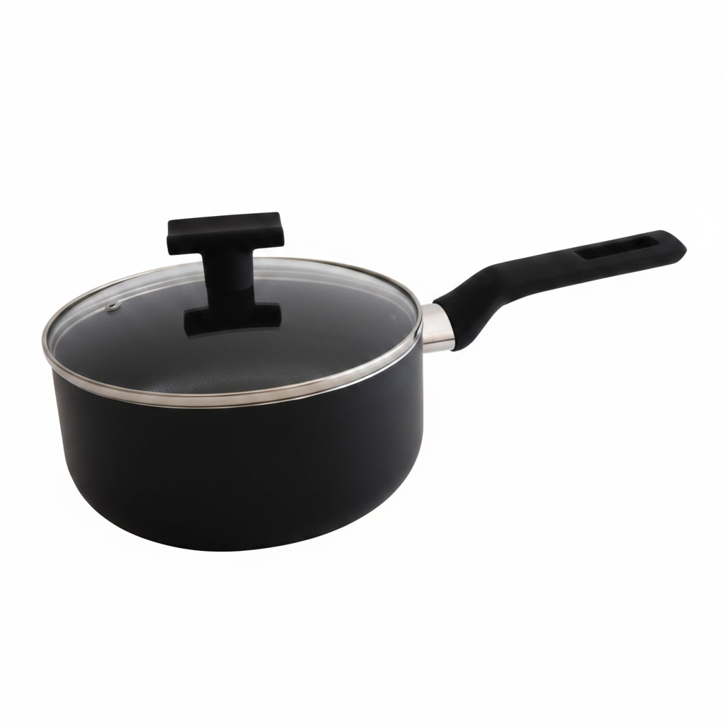 CACEROLA 20CM 锅20207 HS3008-20N