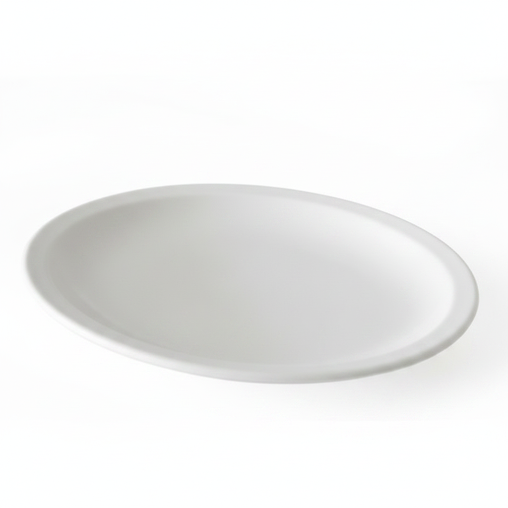 PLATO CERAMICO 25CM 陶瓷盘 P1025