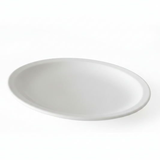 PLATO CERAMICO 25CM 陶瓷盘 P1025