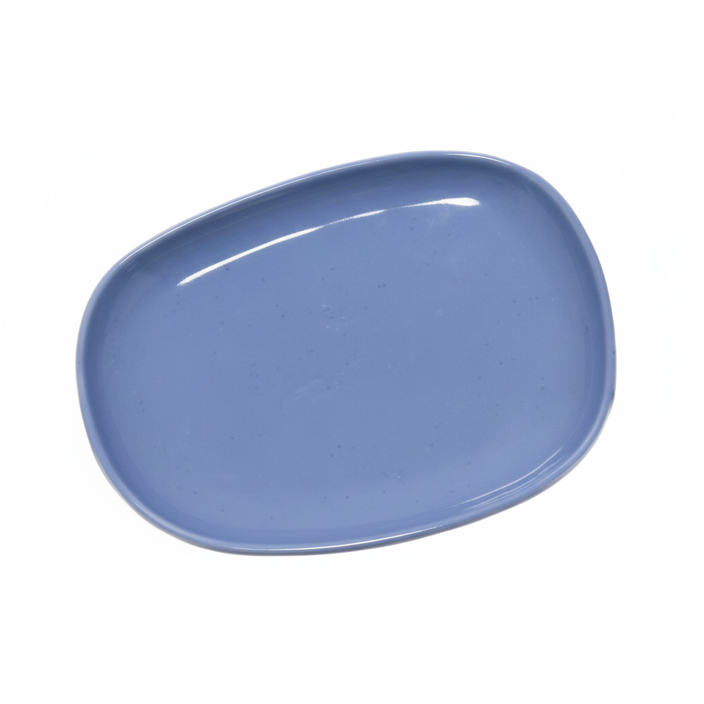 PLATO 16*18.5CM 蓝盘50085 5008