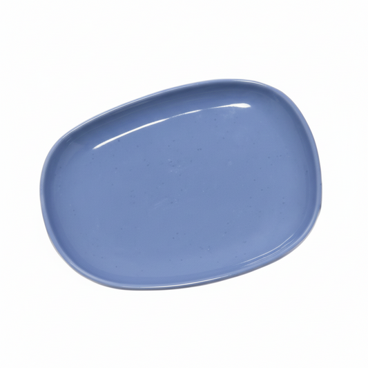 PLATO 16*18.5CM 蓝盘50085 5008