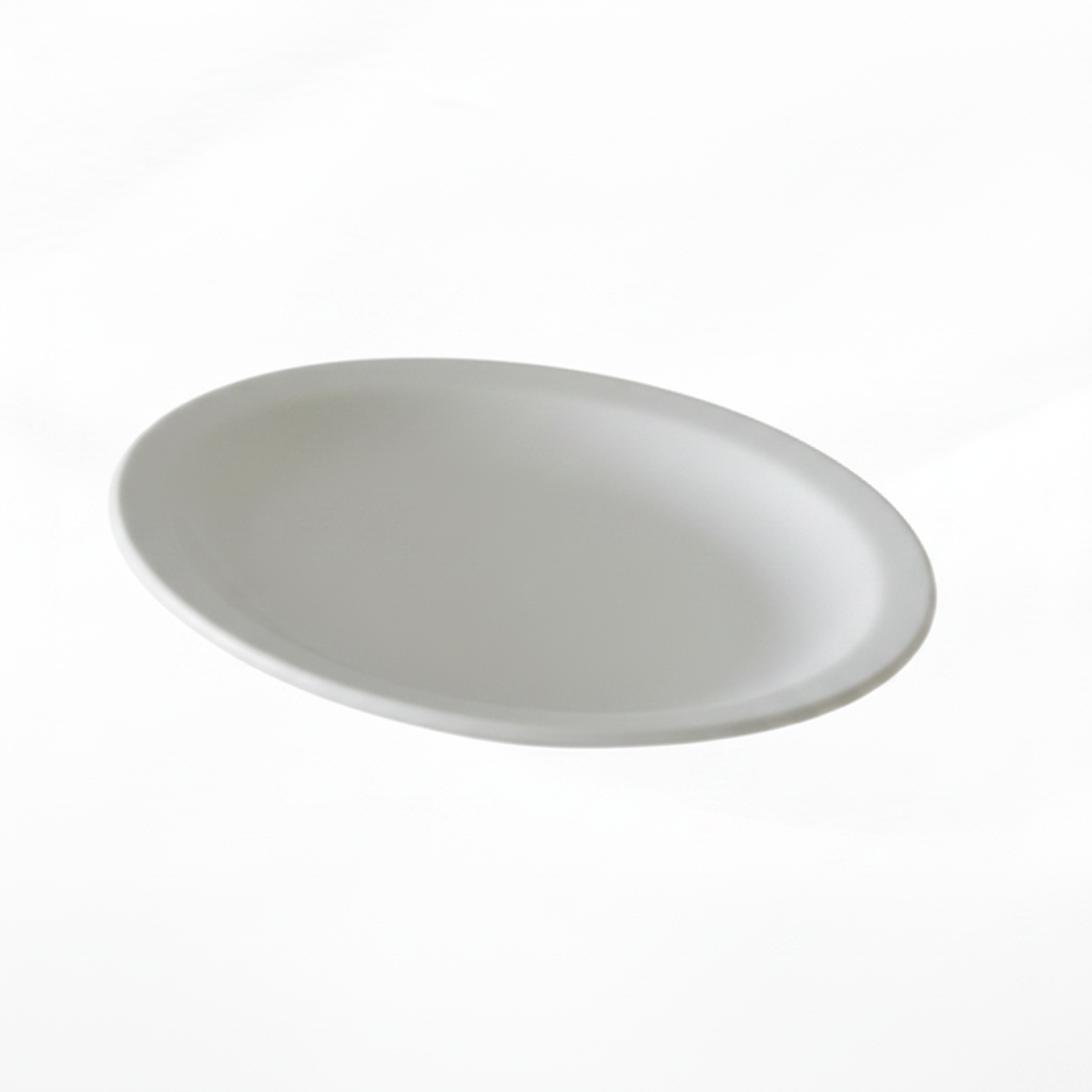 PLATO CERAMICA 19CM 陶瓷盘 P1019