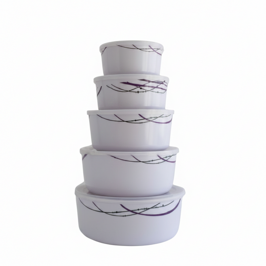 SET DE TUPPER 5PC 带盖五件套碗条纹 61059 6105-1721