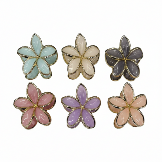 BROCHE DE PELO *12 FLORES 发夹 AA-5540