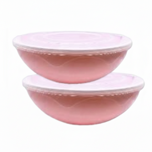 BOWL XXL HERMETICO CON TAPA 塑料大碗带盖 DA44